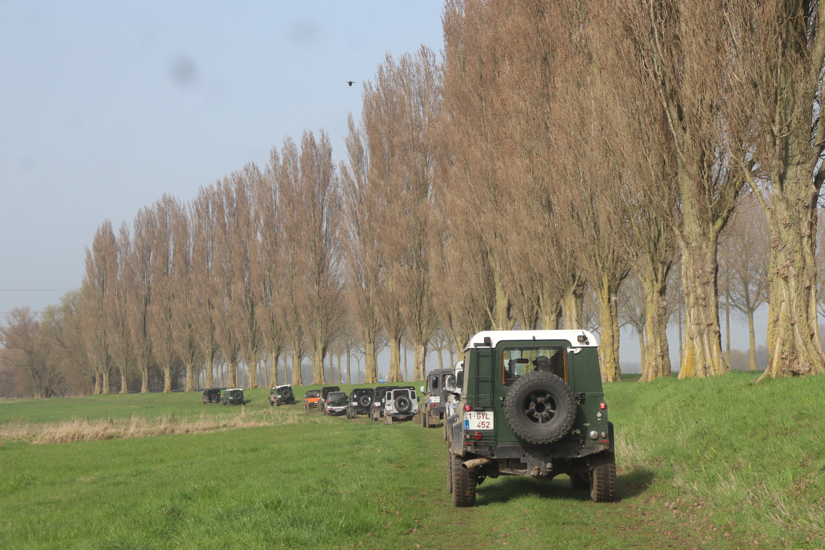 Terreinwagens volgen een landelijke route langs een bomenrij